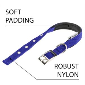 Collier Ferplast pour chien 50 × 3 cm – Résistant, confortable & ajustable