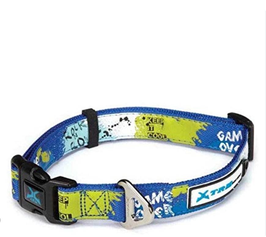 Collier Papillon pour chien 20 × 360-480 mm – Élégant, réglable & confortable