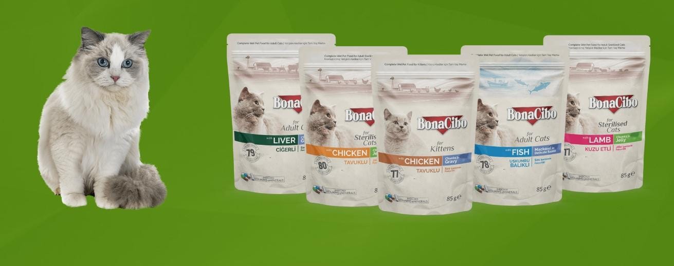 Pâtée BonaCibo au poulet pour chaton et adulte 85g – Saveur naturelle & nutrition complète a modifier la description pateee chaton et adulte