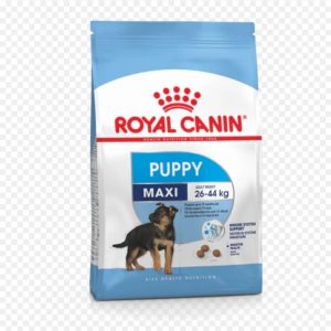 Royal Canin Maxi Puppy 4kg / 15kg – Croquettes pour chiots de grande taille, croissance saine et digestion optimale