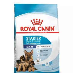 Royal Canin Maxi Starter 4kg – Croquettes pour chiots de grandes races et chiennes en gestation/lactation, favorisent croissance et immunité