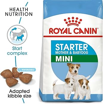 Royal Canin Mini Starter 4kg – Croquettes pour chiots de petites races et mères en lactation, soutien digestif et immunitaire